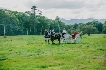 Venues that allow horses